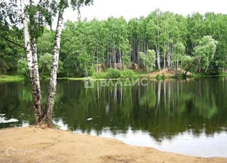 Продаю земельный участок, 11 сот., поселок Муромцево, улица Галанино, 9