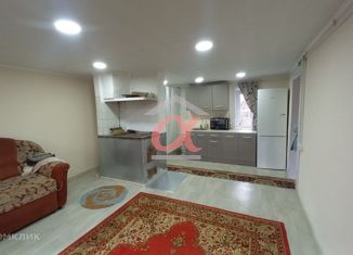 Продажа дома, 27 м2, деревня Сухая Речка, Крайняя улица