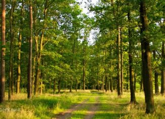 Продаю земельный участок, 161 сот., деревня Чесноково