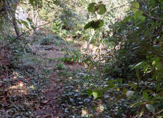 Участок на продажу, 5 сот., аул Тхагапш, Черёмуховая улица