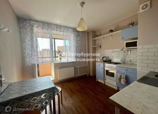 Сдаю в аренду однокомнатную квартиру, 35.9 м2, Санкт-Петербург, Заречная улица, 25, метро Парнас