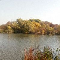 Продажа земельного участка, 24.44 сот., село Константиновка