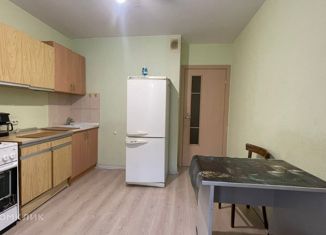 Сдается в аренду двухкомнатная квартира, 64 м2, Санкт-Петербург, улица Михаила Дудина, 12, улица Михаила Дудина