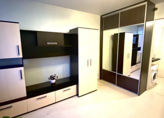 Продажа квартиры студии, 18.8 м2, Екатеринбург, Машинная улица, 42к1, Машинная улица