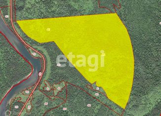 Продажа участка, 16042 сот., село Турочак