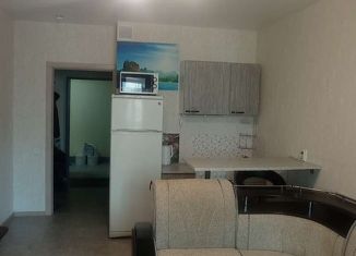 Сдаю в аренду 1-комнатную квартиру, 28 м2, Самарская область, улица Алабина, 18