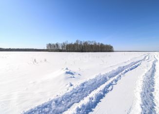 Земельный участок на продажу, 200 сот., Тюменская область, Сибирская улица