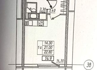 Сдаю в аренду квартиру студию, 22.8 м2, посёлок Шушары, Московское шоссе, 258к1