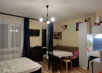 Продается однокомнатная квартира, 31.4 м2, деревня Кусаковка, Васильковая улица, 161А