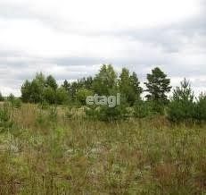 Продается участок, 10 сот., деревня Емельянка