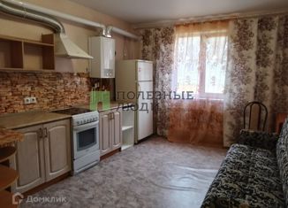 Продам 1-ком. квартиру, 46 м2, деревня Куюки, 16-й квартал, 1