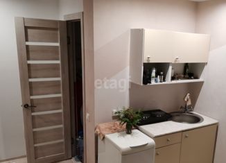 Продается квартира студия, 12 м2, Екатеринбург, Благодатская улица, 66, Благодатская улица