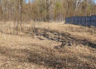 Продаю участок, 10 сот., поселок Дубровка, Школьная улица, 4