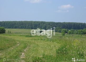 Продается земельный участок, 20 сот., село Нижние Прыски