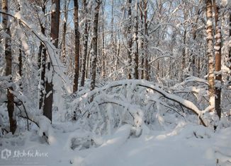 Продам земельный участок, 24.5 сот., деревня Поздняково