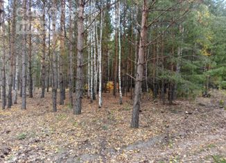 Продам земельный участок, 135.65 сот., село Салаирка