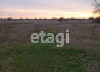 Продам земельный участок, 460 сот., село Шелковичное