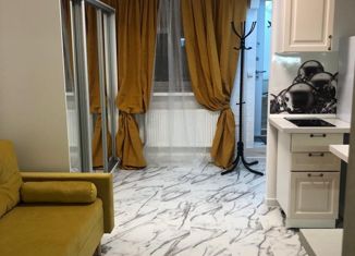 Продается квартира студия, 22 м2, Санкт-Петербург, Большая Подьяческая улица, 16, Большая Подьяческая улица