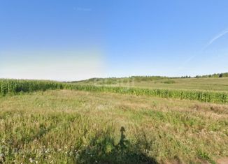 Продажа участка, 320 сот., деревня Косотуриха, Центральная улица