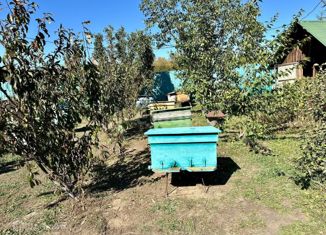 Продаю дом, 29 м2, село Грибское