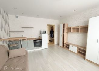 Сдается в аренду квартира студия, 24 м2, Новосибирск, Березовая улица, 19, Березовая улица