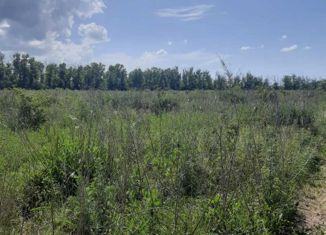 Участок на продажу, 6.65 сот., поселок Красный Колос, Дальняя улица