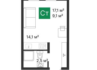 Продается квартира студия, 17.1 м2, село Засечное, Центральная улица, 6