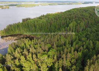Продажа земельного участка, 280 сот., Кончезерское сельское поселение