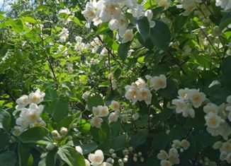 Продам дом, 36 м2, Каменск-Уральский