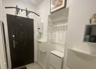 Продажа квартиры студии, 31.4 м2, Екатеринбург, улица Белинского, улица Белинского, 112