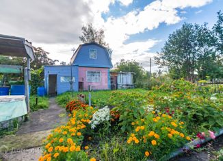 Продам дом, 58 м2, Омск, Центральный округ, садоводческое некоммерческое товарищество Любитель, 190