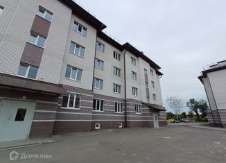 Продам 1-комнатную квартиру, 29 м2, Кстово, улица Герцена, 6