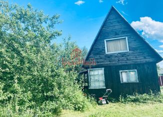 Продается дом, 32 м2, деревня Непейно, деревня Непейно, 55