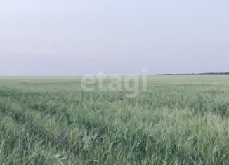 Продается земельный участок, 350 сот., поселок Новоперсиановка, Центральная улица, 2