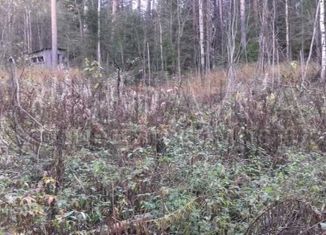 Продам земельный участок, 10 сот., городской посёлок Никольский, проспект Речного Флота, 19А