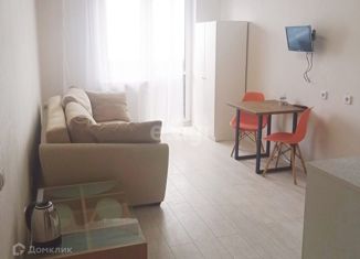 Продается квартира студия, 23.6 м2, Краснодар, улица Евгении Жигуленко, 9, ЖК Победа