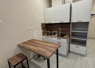 Квартира в аренду студия, 24 м2, Новосибирск, улица Галущака, 15