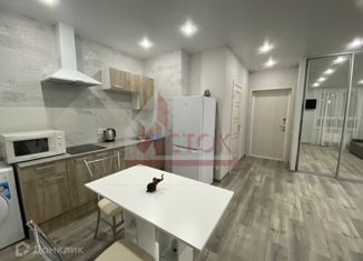 Аренда 1-комнатной квартиры, 30 м2, деревня Столбово, проспект Куприна, 38к1