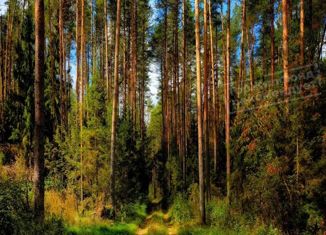 Продаю участок, 5.5 сот., Электроугли, Советская улица
