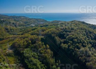 Участок на продажу, 1600 сот., Сочи, микрорайон Якорная Щель