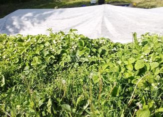 Продаю участок, 10 сот., деревня Шики