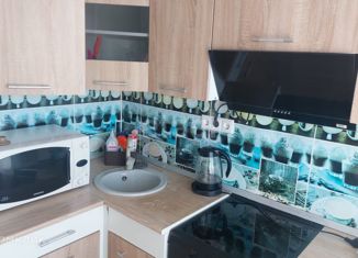 Сдам в аренду однокомнатную квартиру, 26.6 м2, Новый Уренгой, микрорайон Приозёрный, 2