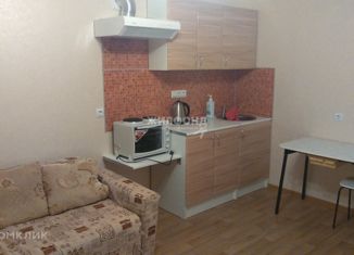 1-комнатная квартира в аренду, 26 м2, Новосибирск, микрорайон Стрижи, 1, ЖК Кленовая аллея