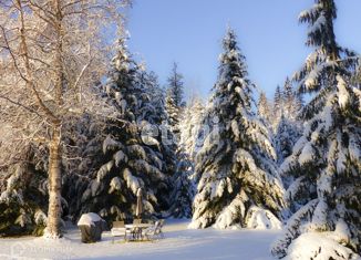 Продаю земельный участок, 14 сот., деревня Новотроицк