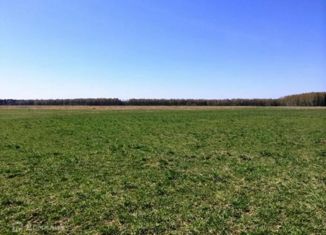 Продажа земельного участка, 8 сот., деревня Чепелёво