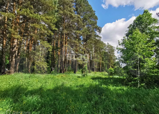 Продается земельный участок, 27 сот., посёлок Сосновка