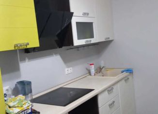 Аренда однокомнатной квартиры, 41 м2, Самара, улица Дыбенко, 23, Советский район