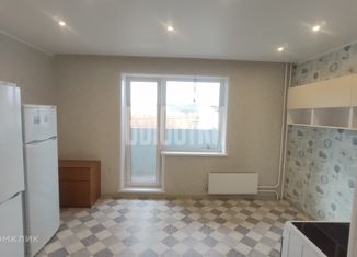 Продажа квартиры студии, 23.8 м2, Миасс, улица Уральских Добровольцев, 1А