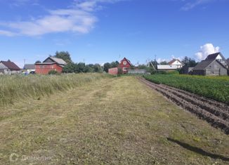 Продам земельный участок, 8 сот., деревня Горошково