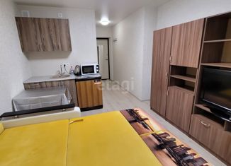 Продается квартира студия, 15.5 м2, Москва, Окская улица, 28к2, метро Кузьминки